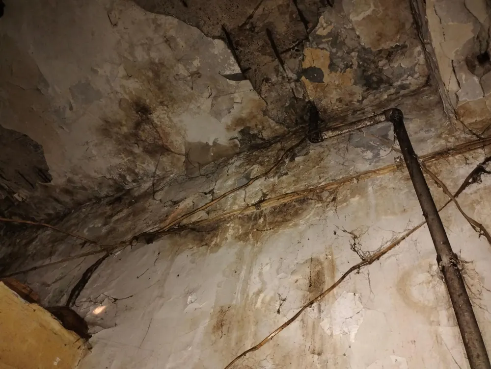 Советская 31