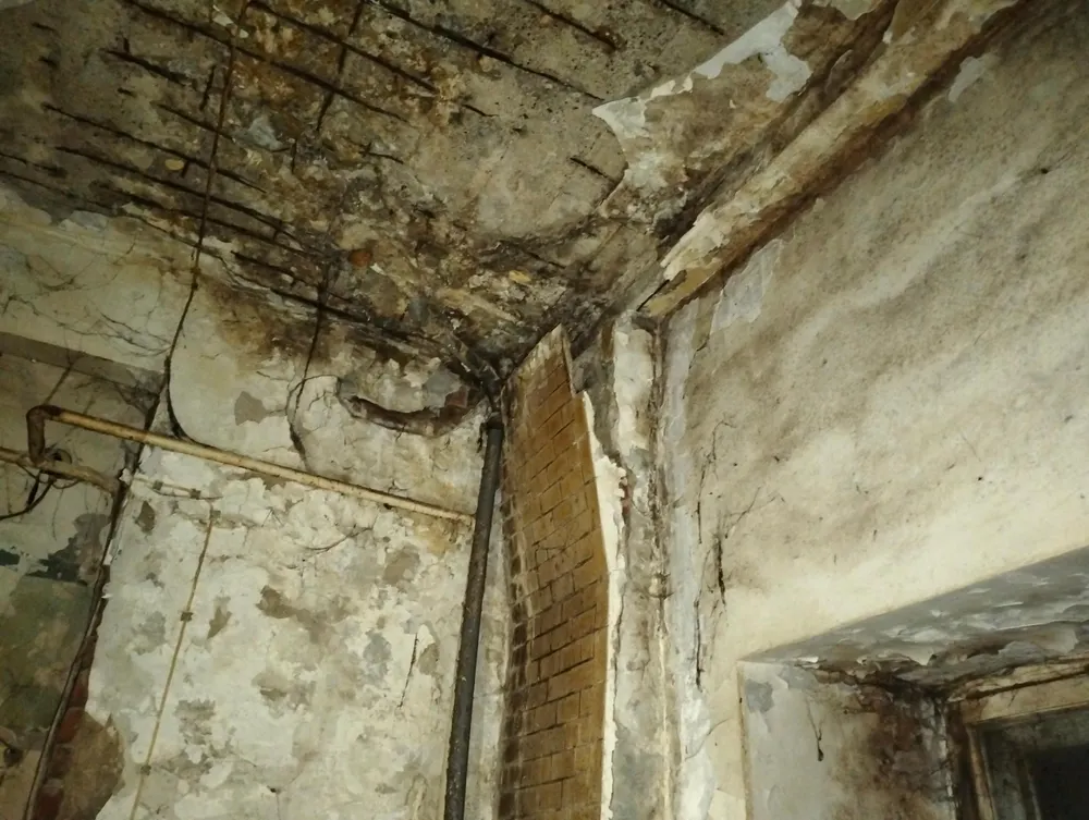 Советская 31